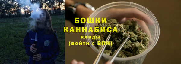 ПСИЛОЦИБИНОВЫЕ ГРИБЫ Наволоки