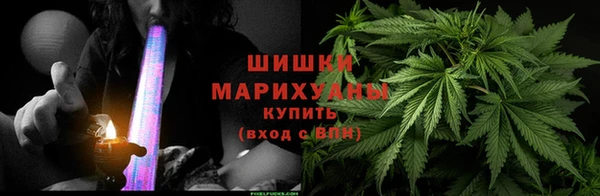 прущие грибы Михайлов