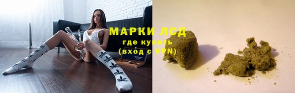 ПСИЛОЦИБИНОВЫЕ ГРИБЫ Наволоки
