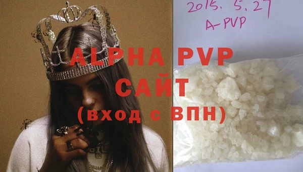 молекула духа Болхов