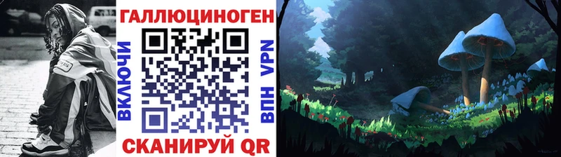 наркота  Палласовка  Псилоцибиновые грибы мухоморы 
